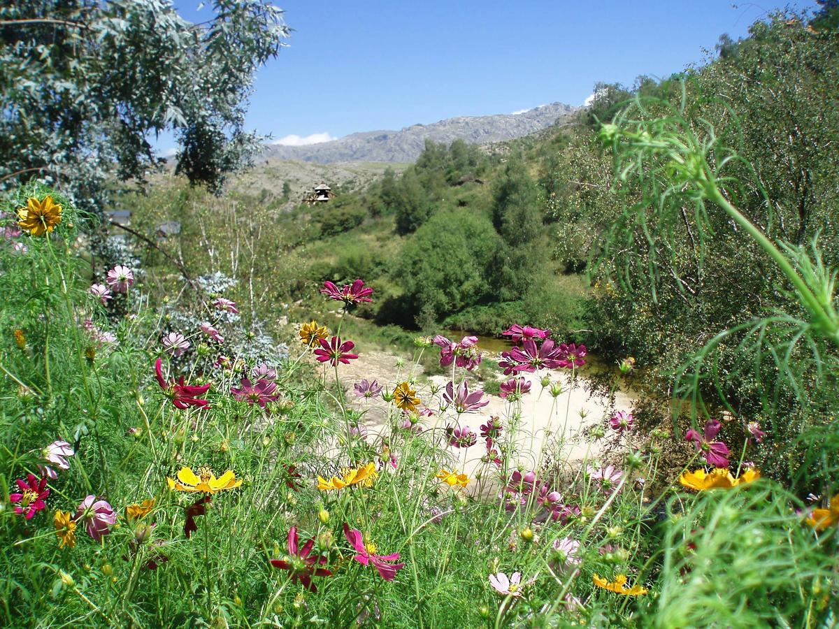 لا كومبريسيتا Villa Del Fiume المظهر الخارجي الصورة