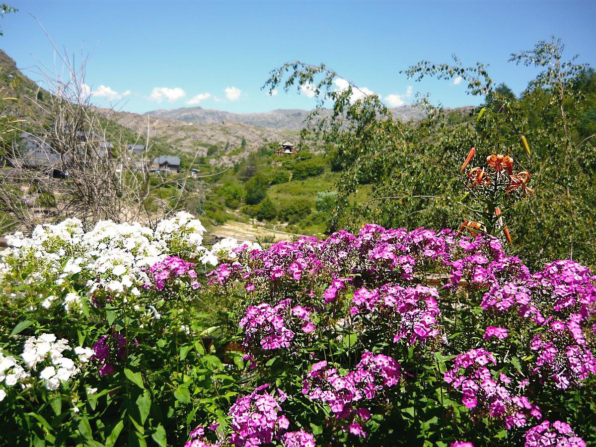 لا كومبريسيتا Villa Del Fiume المظهر الخارجي الصورة