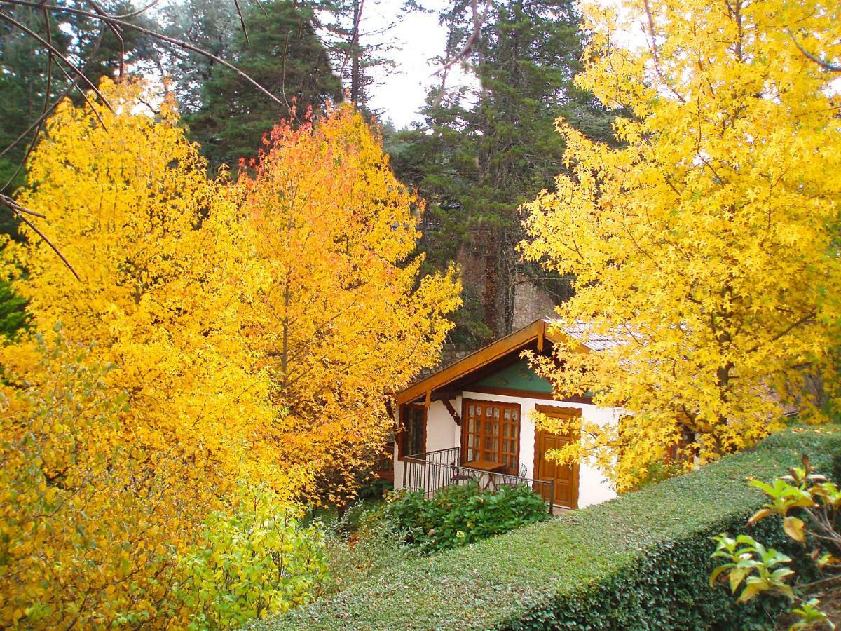 لا كومبريسيتا Villa Del Fiume المظهر الخارجي الصورة